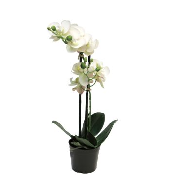 Umělá květina orchideje phalaenopsis CHENXU, bílá, 50cm