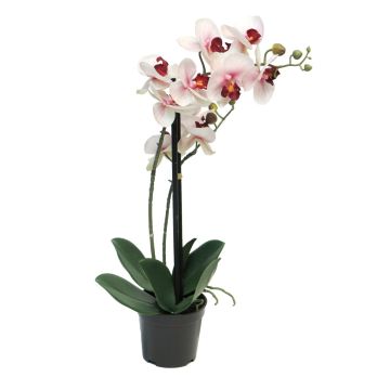 Umělá květina orchideje phalaenopsis CHENXU, růžová-krémová, 50cm