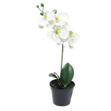 Umělá květina orchideje phalaenopsis CHENXU, bílá, 35cm
