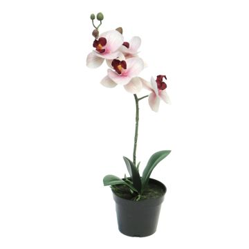 Umělá květina orchideje phalaenopsis CHENXU, růžovo-krémová, 35cm