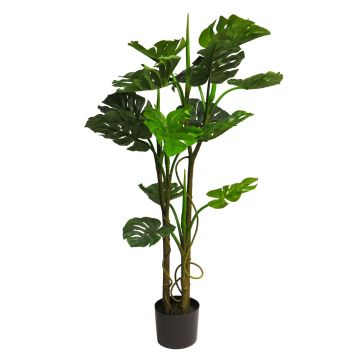 Dekorativní rostlina Philodendron Monstera Deliciosa LIYUNA, 120cm Dekorativní rostlina Philodendron Monstera Deliciosa LIYUNA, 120cm