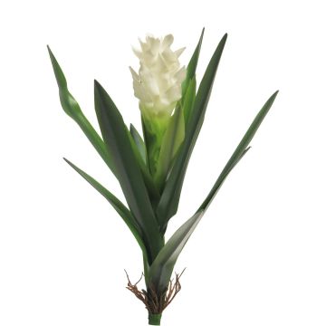 Umělá květina Alpinia purpurata LINNIE, zápich, bílá, 55cm