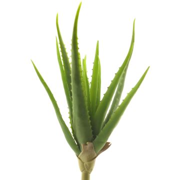 Umělý sukulent aloe vera DAHENG na zápichu, zelený, 40cm
