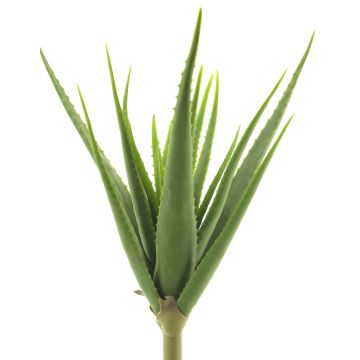 Umělý sukulent aloe vera DAHENG na zápichu, zelený, 60cm