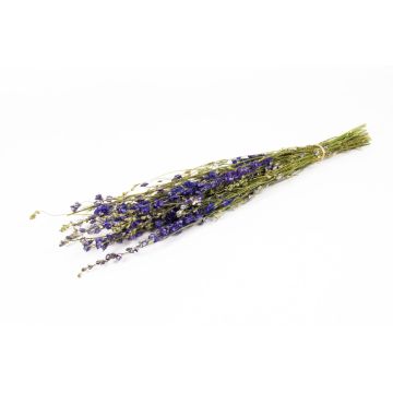 Sušený svazek delfínů AITHANA, modrozelený, 70cm, Ø18cm