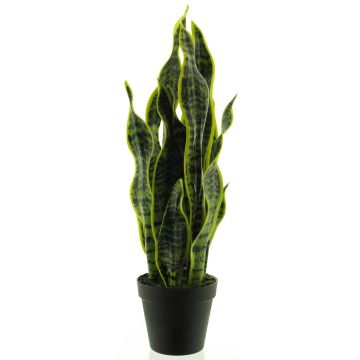 Umělý sukulent sansevieria ANQING v dekorativním květináči, zelenožlutý, 50cm Umělý sukulent sansevieria ANQING v dekorativním květináči, zelenožlutý, 50cm