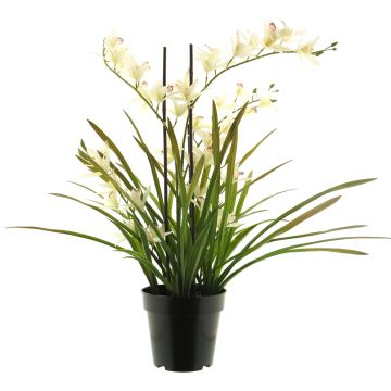 Umělá květina orchidej Cymbidum XINGUI, krémově růžová, 70cm