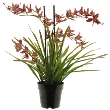 Umělá květina orchidej Cymbidum XINGUI, tmavě červená, 70cm