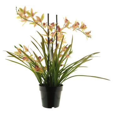 Umělá květina orchidej Cymbidum XINGUI, růžovo-zelená, 70cm