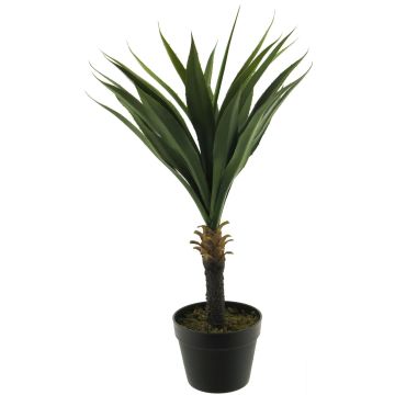 Dekorativní sukulent agave furcraea gigantea HUISHAN, zelená, 75cm