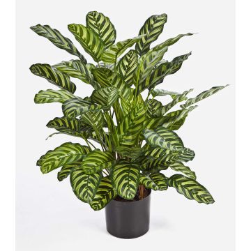 Umělá rostlina calathea makoyana BADU, řídká, zeleno-žlutá, 80cm Umělá rostlina calathea makoyana BADU, řídká, zeleno-žlutá, 80cm
