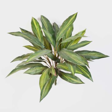 Umělý dračinec MERON, na zápichu, zeleno-žlutá, 50cm