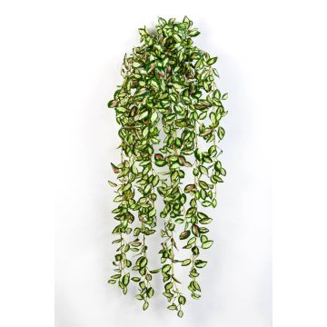 Umělá tradescantia zebrina KATYINA, na zápichu, zeleno-červená, 95cm Umělá tradescantia zebrina KATYINA, na zápichu, zeleno-červená, 95cm