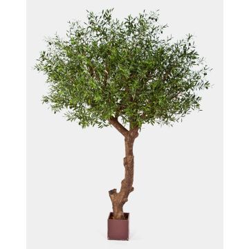 Umělý stromek olivovník NIKKOLAS, přírodní kmen, s plody, 270cm Umělý stromek olivovník NIKKOLAS, přírodní kmen, s plody, 270cm