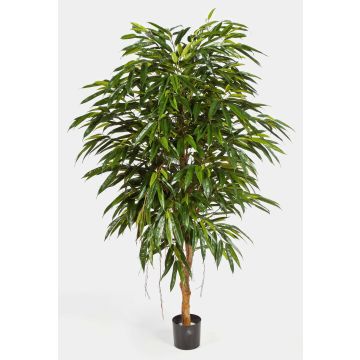 Umělý strom longifolia HISA, přírodní kmen, 180cm