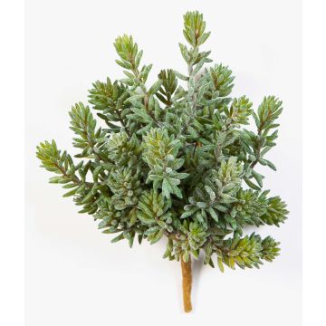 Umělý rozchodník OLAVI na zápichu, zelený, 20cm Umělý rozchodník OLAVI na zápichu, zelený, 20cm