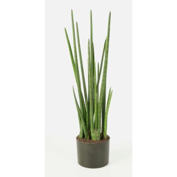 Umělá sansevieria cylindrica MERVE, zelená, 100cm