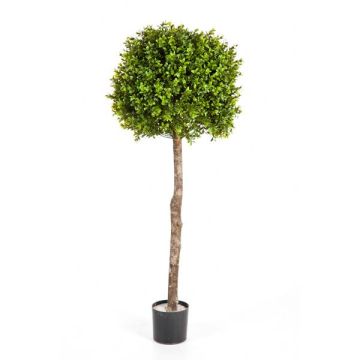 Umělý buxus TOM, skutečný kmen, 105cm, Ø40cm Umělý buxus TOM, skutečný kmen, 105cm, Ø40cm