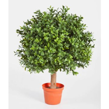 Umělý buxus TOM, přírodní kmen, 45cm, Ø30cm Umělý buxus TOM, přírodní kmen, 45cm, Ø30cm