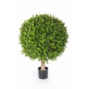 Umělý buxus TOM, přírodní kmen, 55cm, Ø40cm Umělý buxus TOM, přírodní kmen, 55cm, Ø40cm