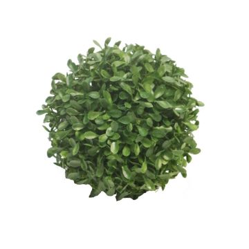 Umělá koule zimostrázu FRITZ, plastová mřížka, křížové dveře, Ø13cm