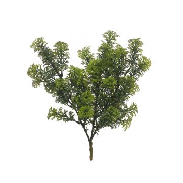 Dekorativní vodní rostlina Limnophila sessiliflora NAYANA, zápich, zelená, 35cm