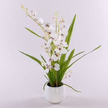 Umělá orchidej oncidium SHANIA, keramický květináč, bílo-hnědá, 50cm