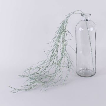 Tillandsia usneoides JARISA, zelenobílá, 105cm