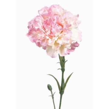Umělý hvozdík VANERA, růžovo-bílá, 60cm, Ø9cm