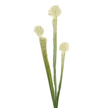 Umělá sukulentní rostlina Sarracenia SIMANA na tyčce, bílo-zelená, 65 cm