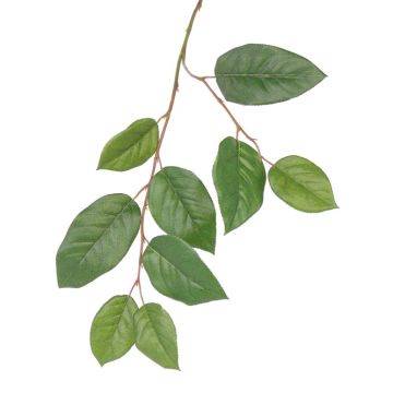 Umělá jabloňová větev KONSTANTIN, zelená, 75cm Umělá jabloňová větev KONSTANTIN, zelená, 75cm