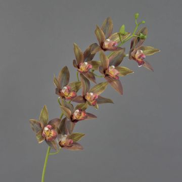 Dekorační větve orchideje YAMEI, tmavě červeno-zelené, 80cm Dekorační větve orchideje YAMEI, tmavě červeno-zelené, 80cm