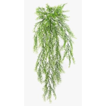 Umělý asparagus plumosus k zavěšení ILES, zápich, 75cm