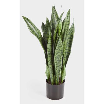 Umělá sansevieria BEYZA, zelená, 80cm