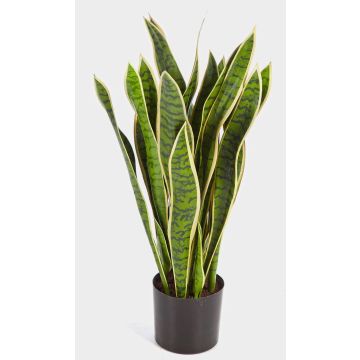 Umělá sansevieria BEYZA, zeleno-žlutá, 80cm