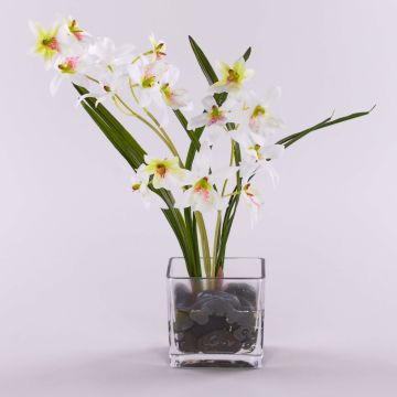 Umělá orchidej dendrobium ZUZA v dekoračním skle, bílo-zelená, 35cm