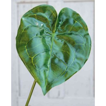 Umělecká plachta Anthurium GÜLSAH, zelená, 65cm