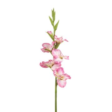Umělá gladiola KIVANA, růžovo-bílá, 90 cm Umělá gladiola KIVANA, růžovo-bílá, 90 cm