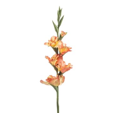 Umělá gladiola KIVANA, broskvová, 90 cm Umělá gladiola KIVANA, broskvová, 90 cm