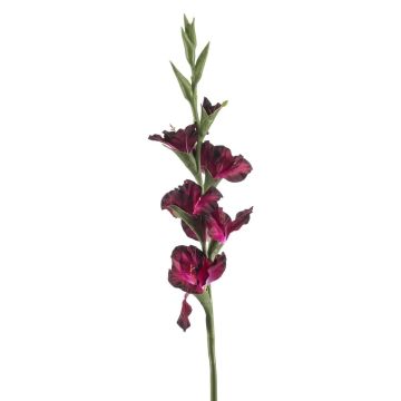 Umělá gladiola KIVANA, tmavě fialová, 90 cm Umělá gladiola KIVANA, tmavě fialová, 90 cm