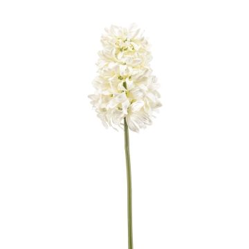 Dekorativní květina hyacint EULUNA, krémová, 50 cm