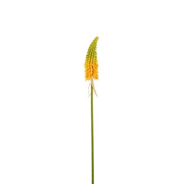 Dekorativní květina lilium MAVORA, zeleno-žlutá, 80 cm