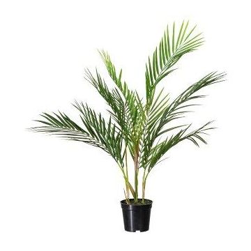 Dekorativní palma Areca YONNE, 70cm