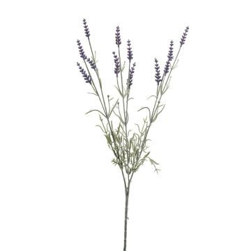 Umělá větvička levandule JELLE, fialová, 70 cm Umělá větvička levandule JELLE, fialová, 70 cm