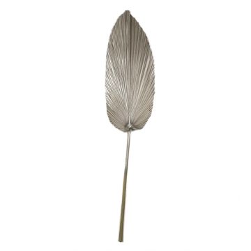 Dekorativní list palmy Washingtonia DAIANE, sušený, šampaňské, 100 cm Dekorativní list palmy Washingtonia DAIANE, sušený, šampaňské, 100 cm