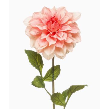 Umělá květina jiřina REFOLG, broskvová, 70cm