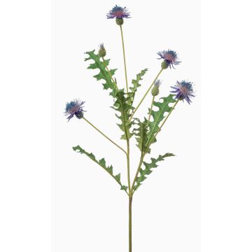 Pravá květina chrpa XAVANNAH, modrofialová, 95cm