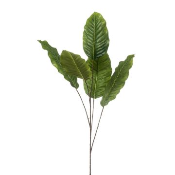 Dekorativní větev Dieffenbachia ZERVAN, zelená, 110cm Dekorativní větev Dieffenbachia ZERVAN, zelená, 110cm