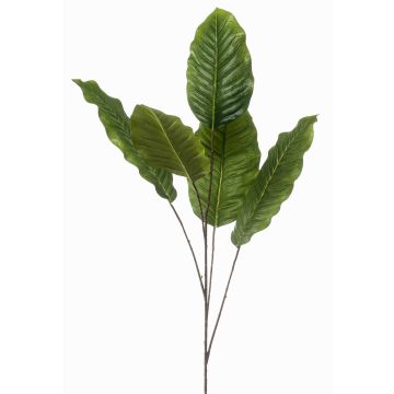 Dekorativní větev Dieffenbachia ZERVAN, zelená, 110cm Dekorativní větev Dieffenbachia ZERVAN, zelená, 110cm
