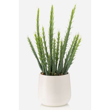 Umělý kaktus Euphorbia trigona NORSHE v ozdobném květináči, zelený, 28cm